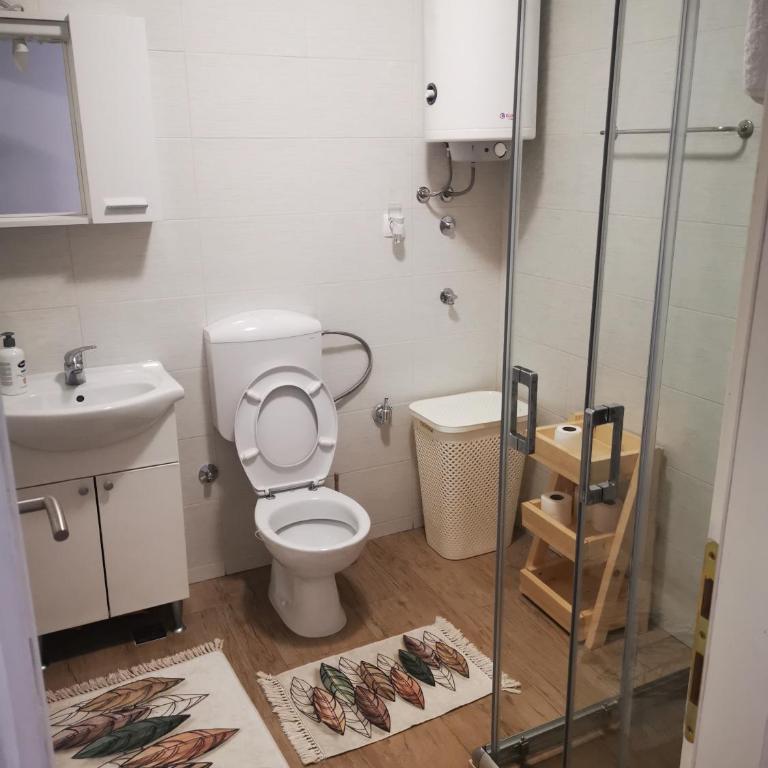 Apartman and rooms Dream House - Two-Bedroom Apartment - 27