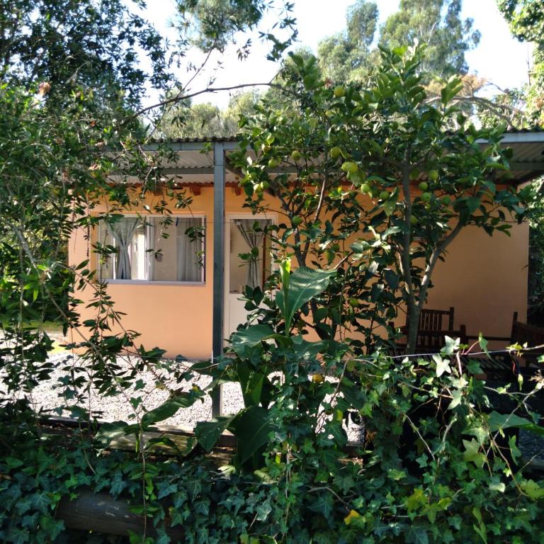 Cabañas Ronca Hue - Casa de 2 dormitorios - 5