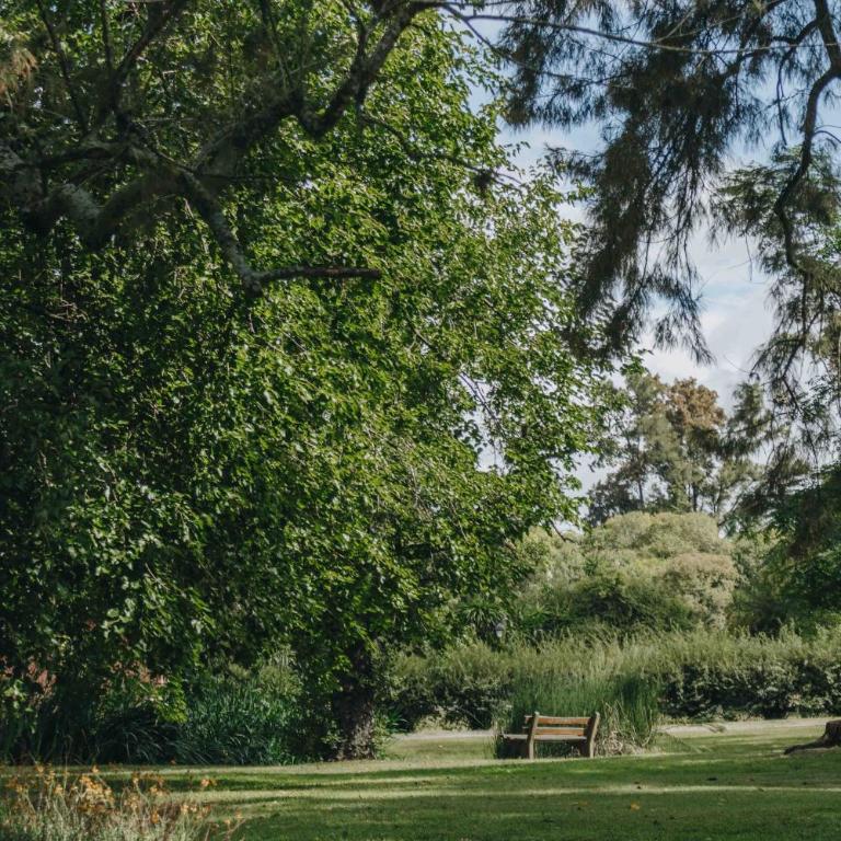 La Martineta Posada de Campo - Apartamento de 1 dormitorio - 11