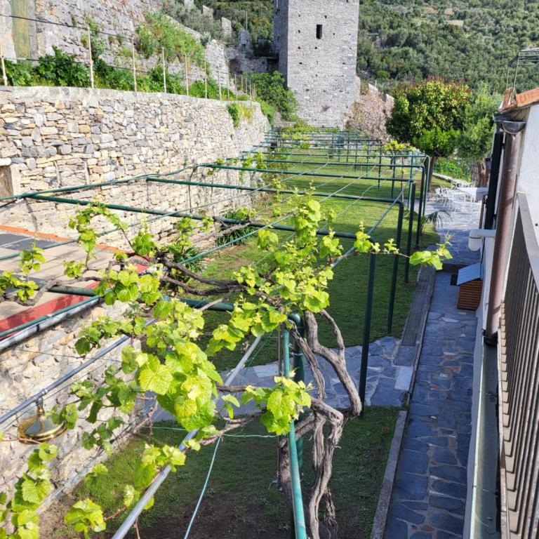 La BouganVilla - Casa Vacanze - 51
