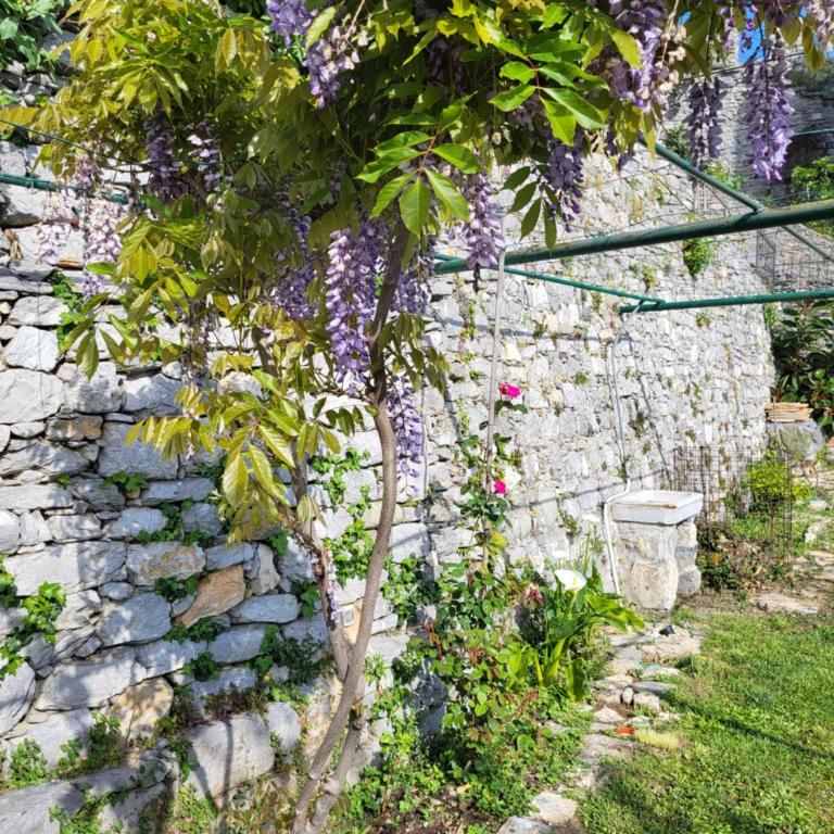 La BouganVilla - Casa Vacanze - 54