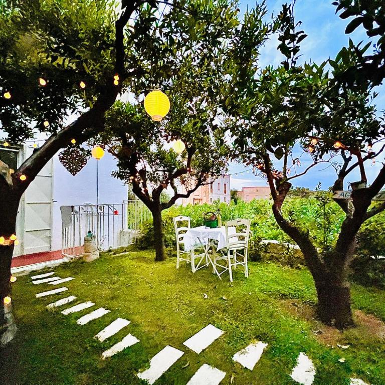Casa Agrumeto 30 - Casa Vacanze - 13