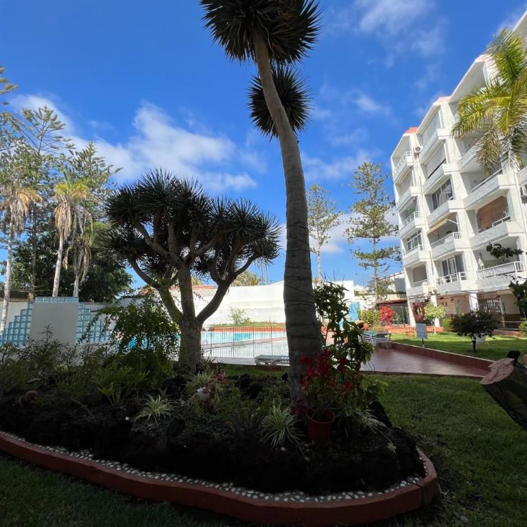Mama Yumbo - Apartamento de 1 dormitorio - 24
