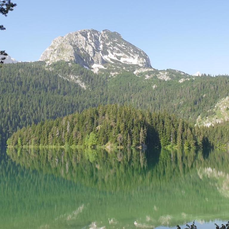 Black Lake Chalet-300m from Black Lake,Durmitor - One-Bedroom House - 67