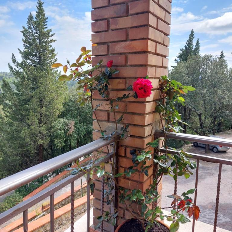 Casa Bruna - Cipresseta del Chianti - Appartamento con 2 Camere da Letto - 29