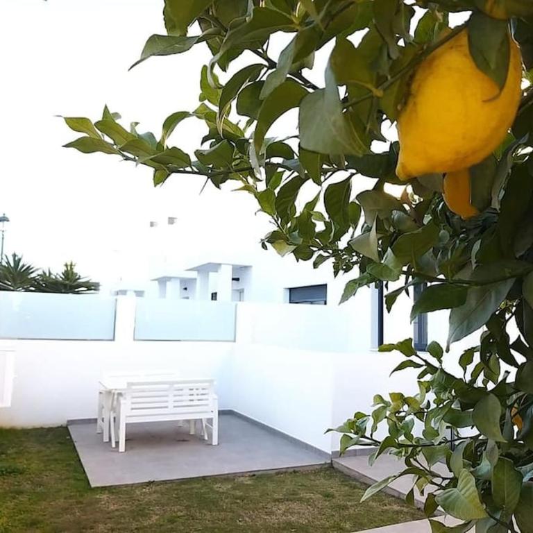 Villa Exótica - Villa de 2 dormitorios - 7