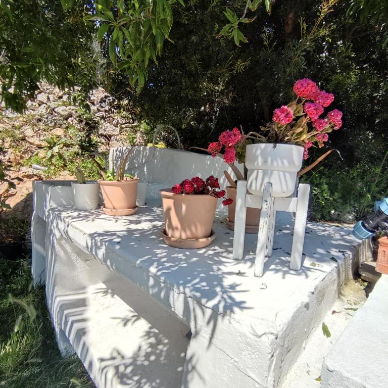 Trullo Innamorato - Two-Bedroom Villa - 18