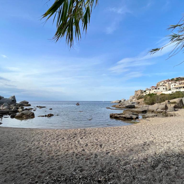 Appartement les pieds dans l eau - Appartement 3 Chambres - 22