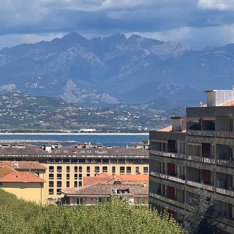 Super Studio centre ville d'Ajaccio - Monolocale - 9