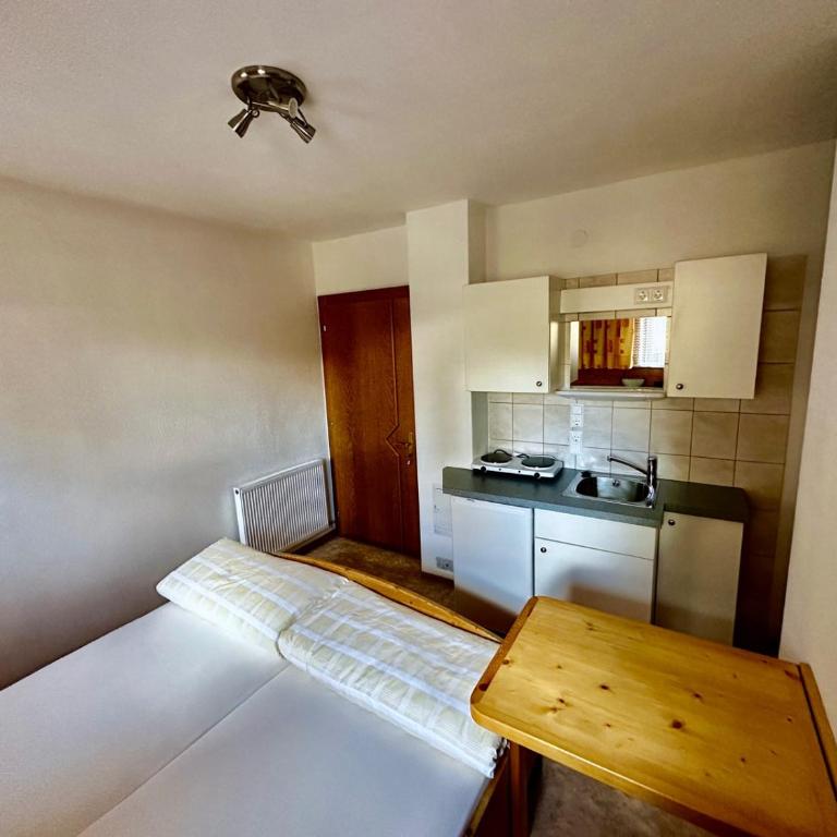 Haus Luxer - Studio - 11