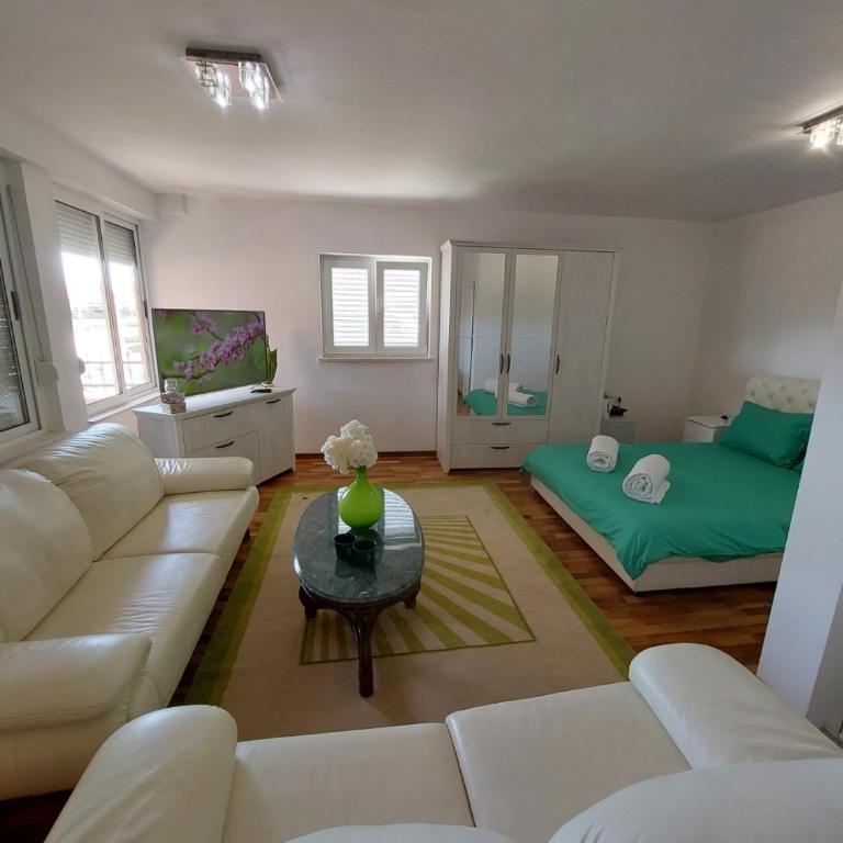 Apartment Andric 2 - Apartman sa Terasom - 3