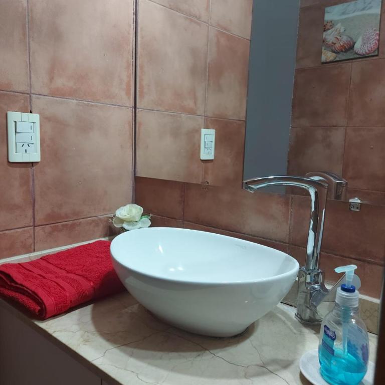 MENDOZA VIÑA Y SOL cochera propia - Apartamento de 2 dormitorios - 10