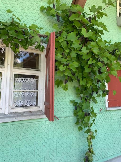 Allgäu Cottage - traumhafter Blick in die Schweizer Berge - Maisonette-Apartment - 3