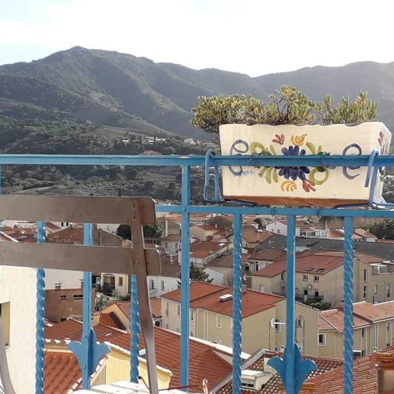 Banyuls La Grande Bleue : studio T1 - Appartement 1 Chambre - 21