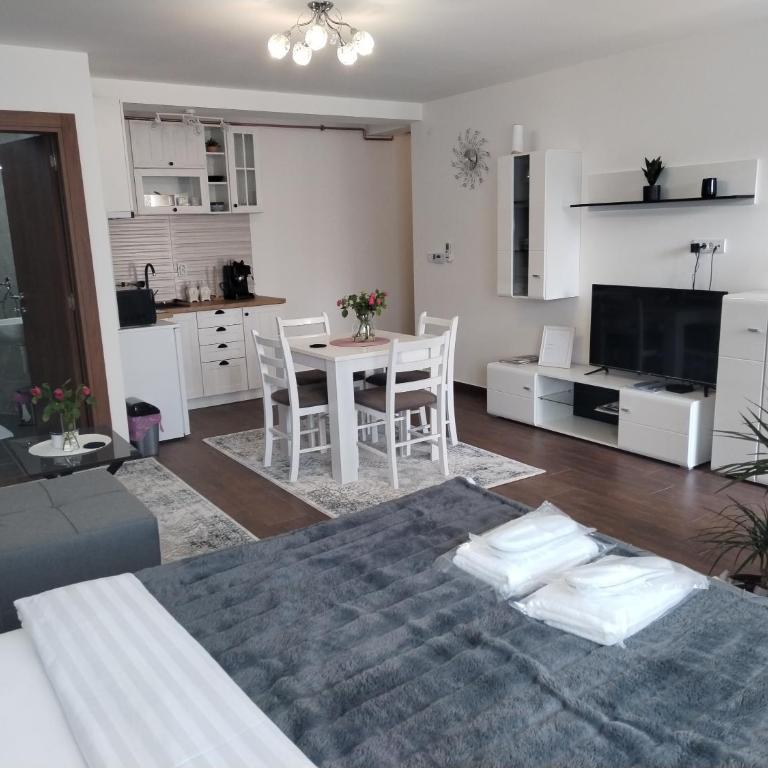 Apartman 007 - One-Bedroom Apartment - 16