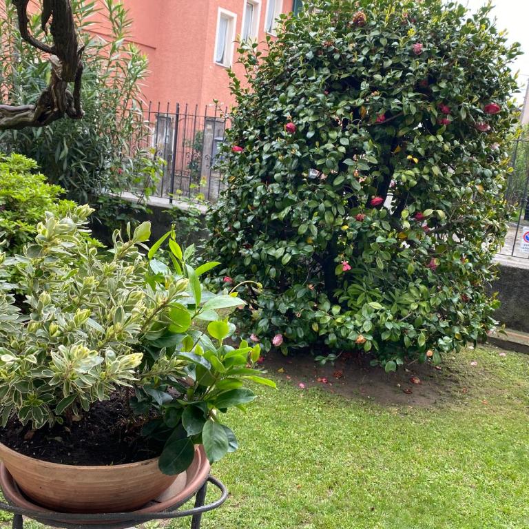 Verdelago - Appartamento con 3 Camere da Letto - 5