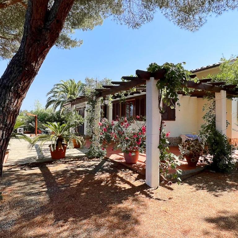 Villa Ai Pini a Punta Perla - Goelba - Villa con 3 Camere da Letto - 37