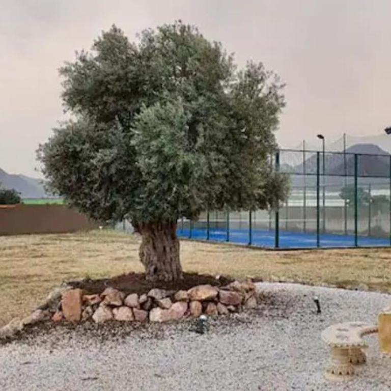Villa Águilas - Casa de 4 dormitorios - 22