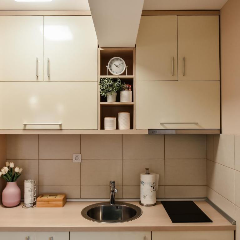 Apartman ForestM - Apartman sa 1 Spavaćom Sobom - 24