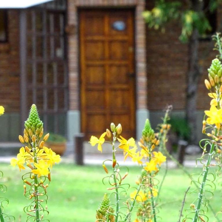 Cabañas Agua que Brilla - Chalet de 1 dormitorio - 12