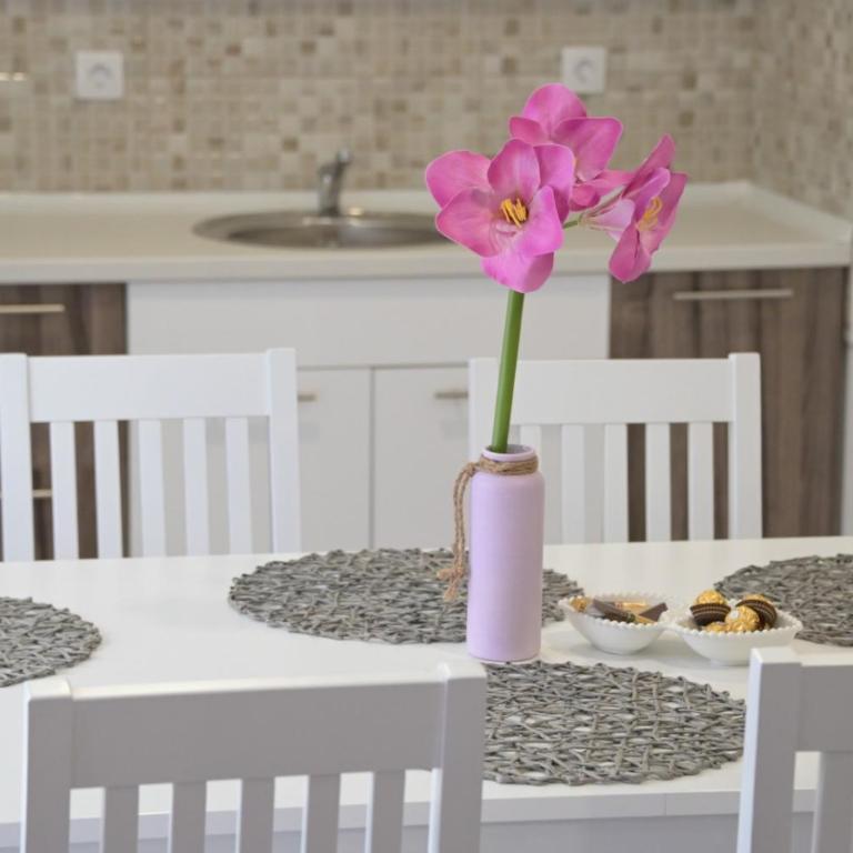Apartmani DAR Trebinje - Apartman sa 1 Spavaćom Sobom - 12