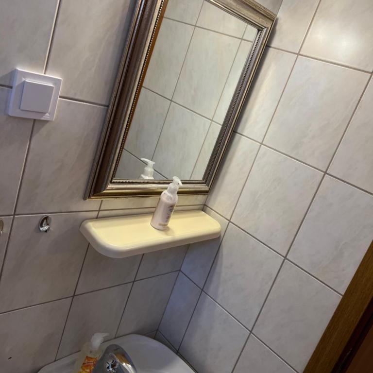Ksenia Guesthouse Apartments and Studios - Standardni Studio - 16
