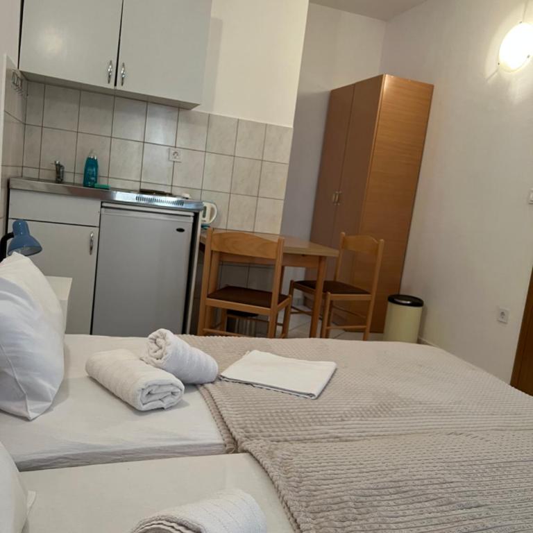 Ksenia Guesthouse Apartments and Studios - Standardni Studio - 5