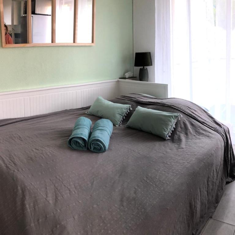 studio avec terrasse et piscine - Appartement 1 Chambre - 5