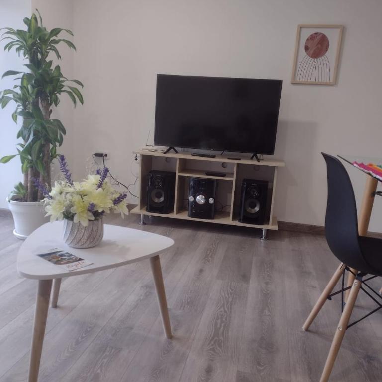 Lujoso Apartamento Cerca al Lago Sochagota en Paipa - Apartamento de 2 dormitorios - 12