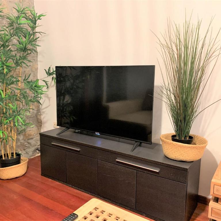 Alola Cimadevilla - Apartamento de 2 dormitorios - 14