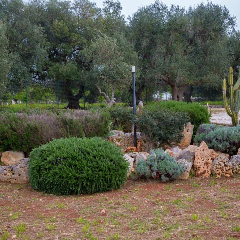 Trullo Terra di Alix - Casa con 3 Camere da Letto - 17