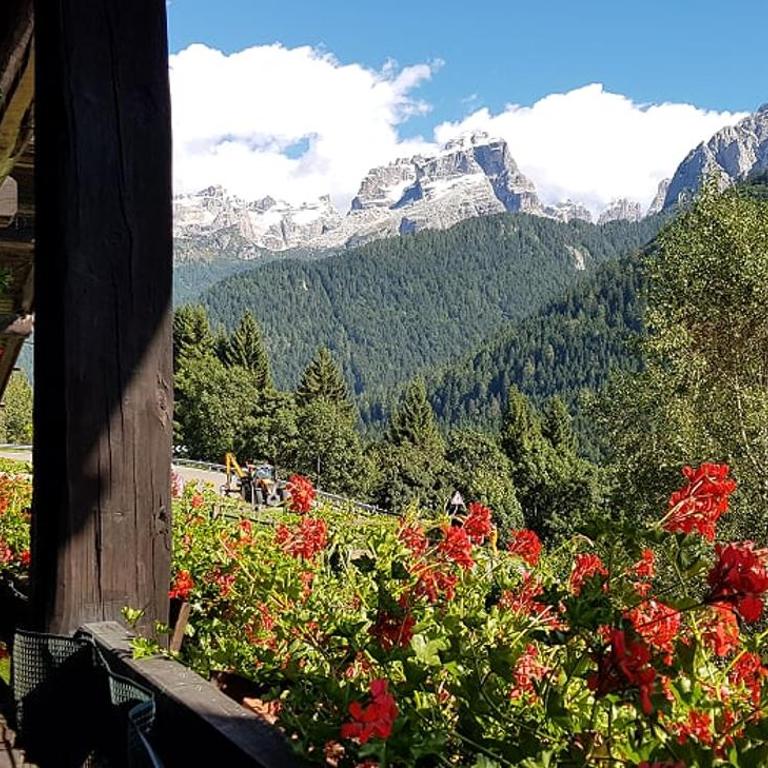 Trilocale Maso Palù - Serafini - Appartamento con 2 Camere da Letto - 2