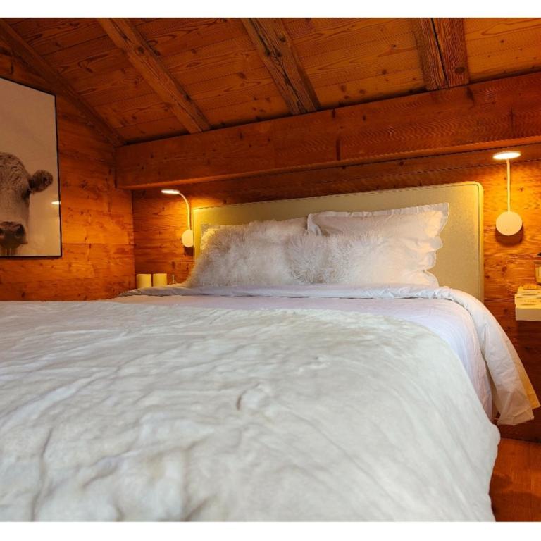 Chambre Boille à Lait - Chambre Double - Vue sur Montagne - 4