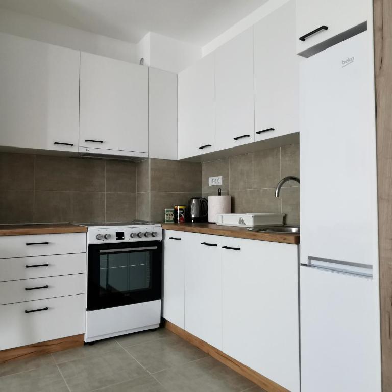 Modern Living Apts - Plaza suite - One-Bedroom Apartment - 3
