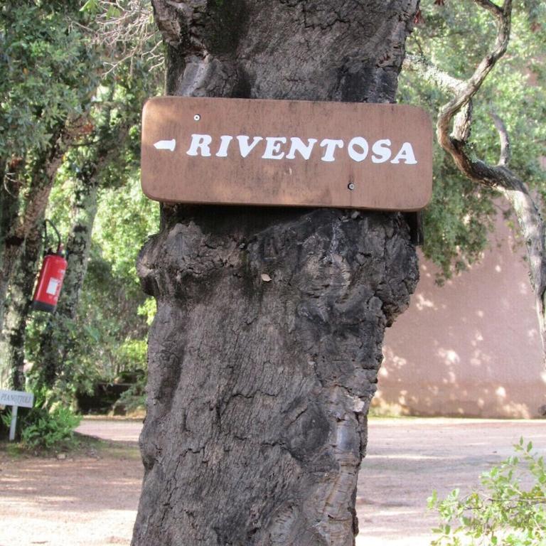 MiniVilla "RIVENTOSA" - SANTA GIULIA - 50 passi dal mare - Casa con 2 Camere da Letto - 31