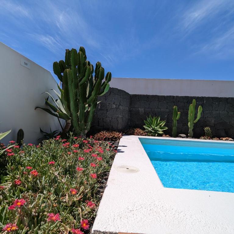 Casa Marta, private pool, free WiFi - Two-Bedroom Villa - 19