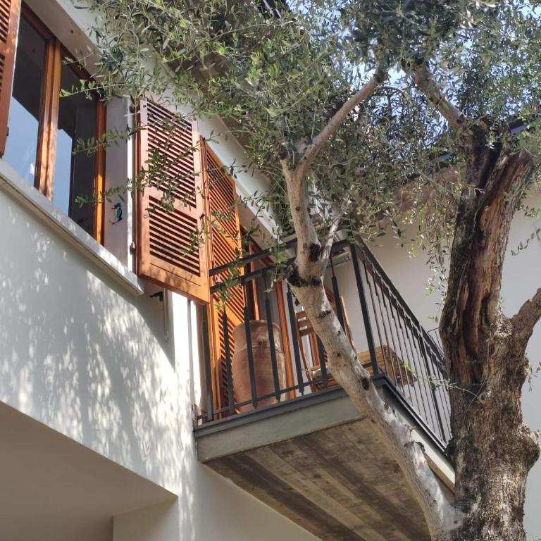 Casa degli ulivi - Appartement 1 Chambre - 3