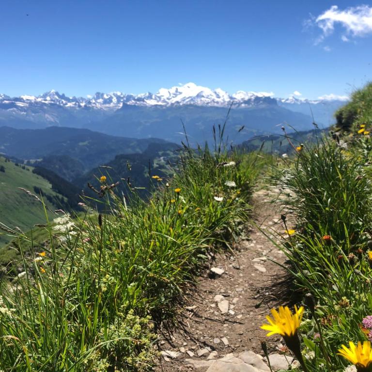 Chalet Etoile - Chalet - 21