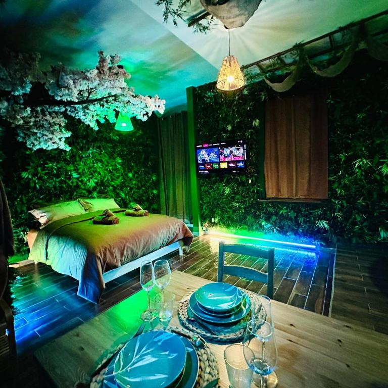 JUNGLE SUITE - Jacuzzi - Centre - Clim by Narbana - Appartement 1 Chambre - 11