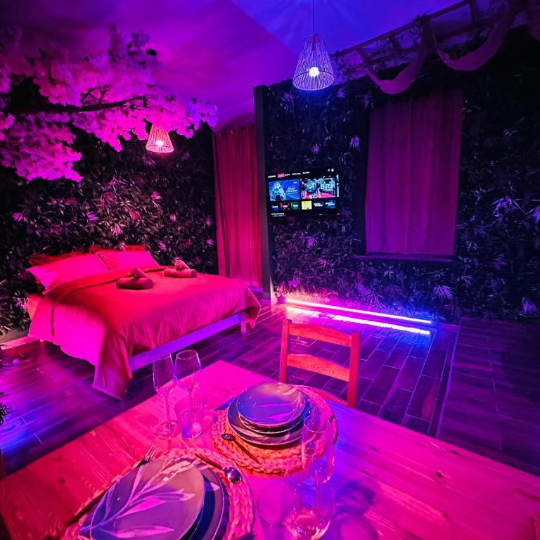 JUNGLE SUITE - Jacuzzi - Centre - Clim by Narbana - Appartement 1 Chambre - 9