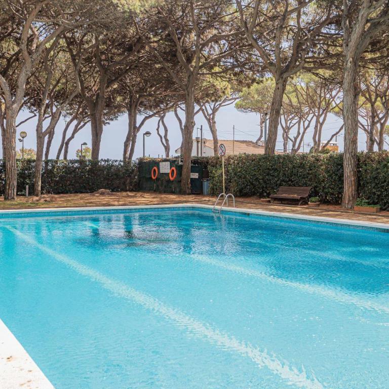 Apartamento Condal - Apartamento de 3 dormitorios - 38