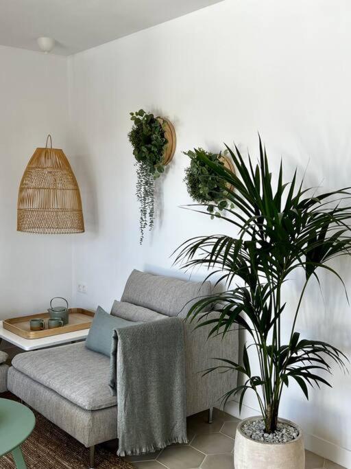 Lovely casita Jade - One-Bedroom Apartment - 18