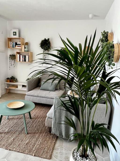 Lovely casita Jade - One-Bedroom Apartment - 21