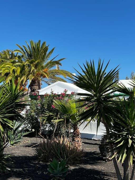 Lovely casita Jade - One-Bedroom Apartment - 36
