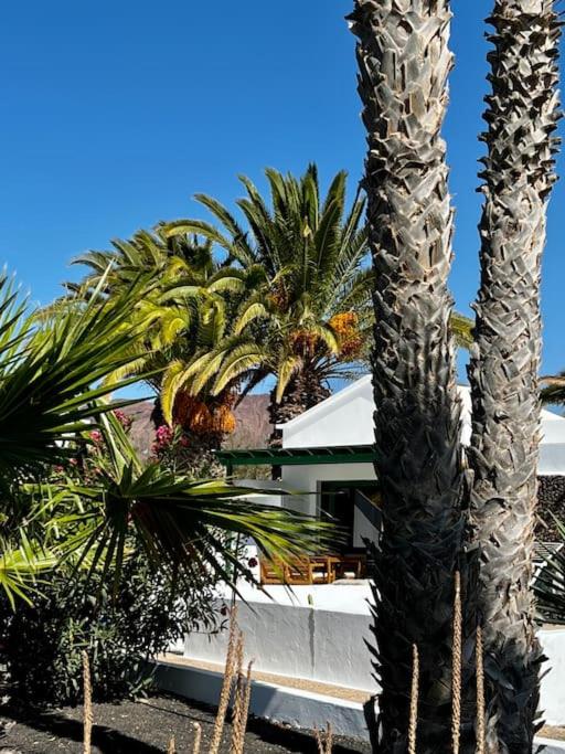 Lovely casita Jade - One-Bedroom Apartment - 47