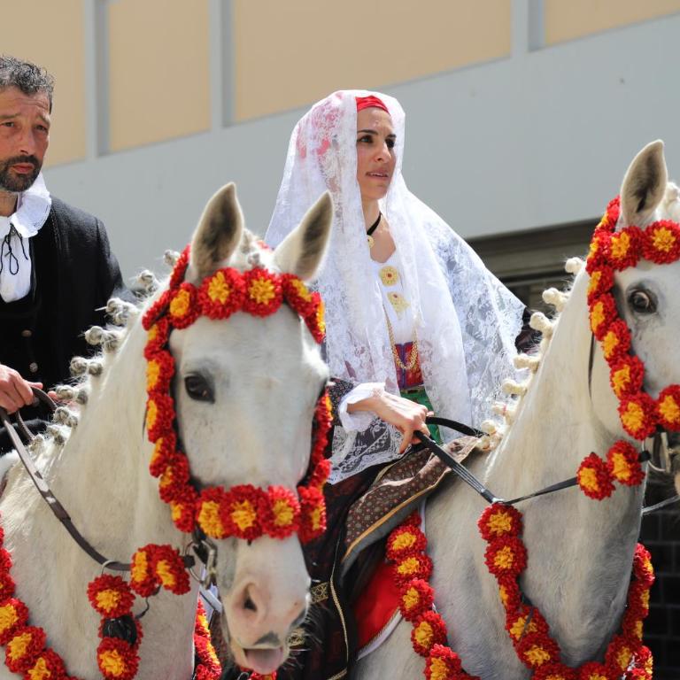 Open Suite Cobalto - Loft - 98