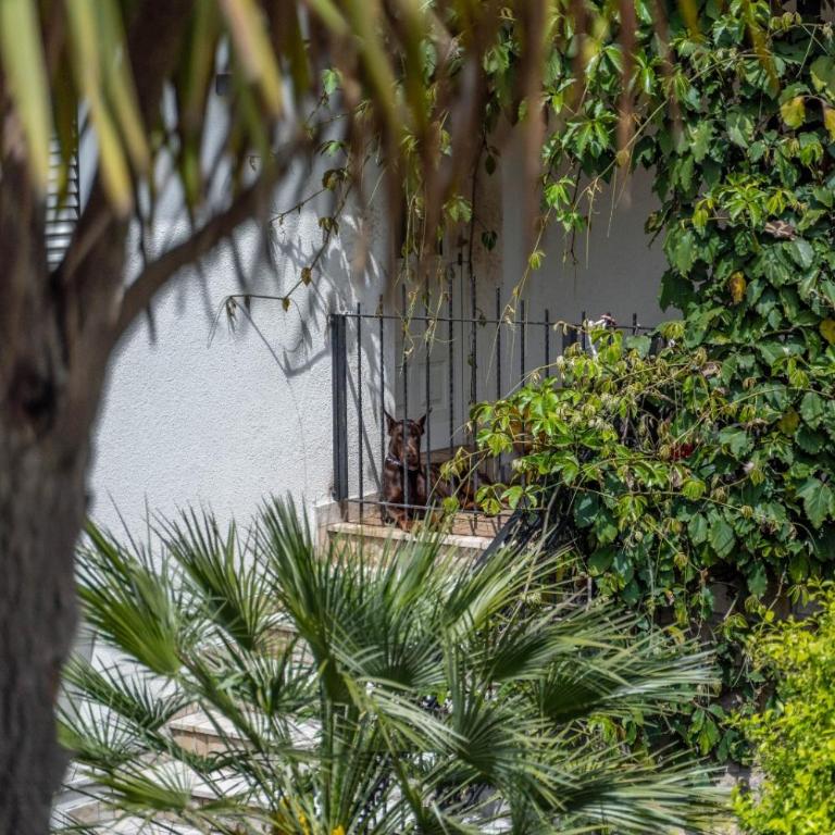 Villa Nautica - Villa - 66