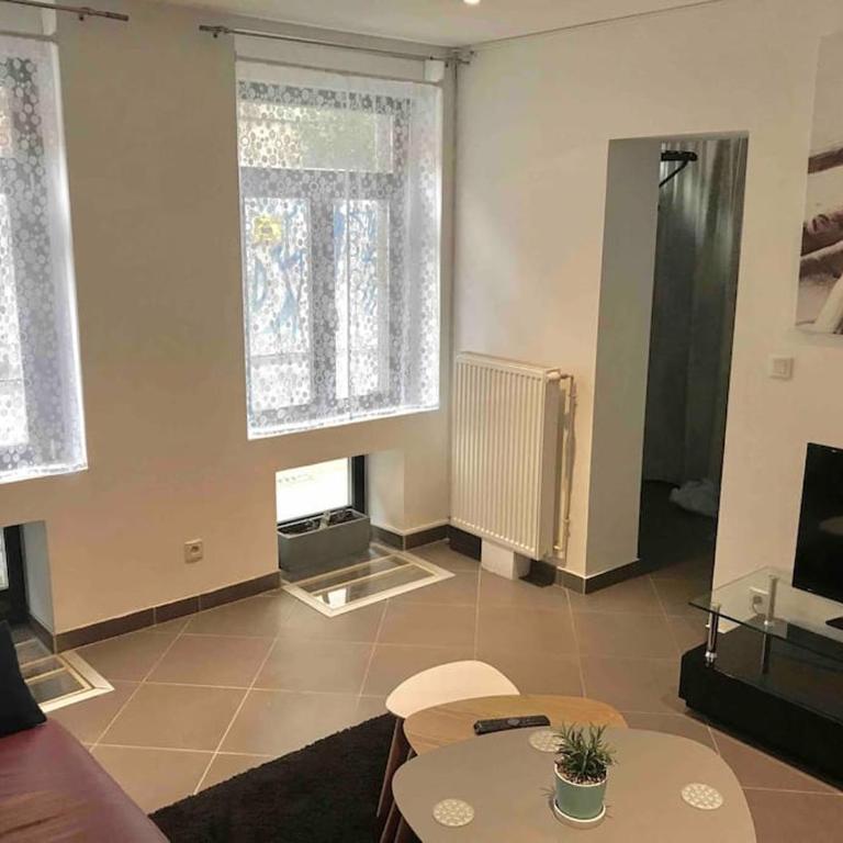 maison vieux Lille - Appartement 2 Chambres - 3