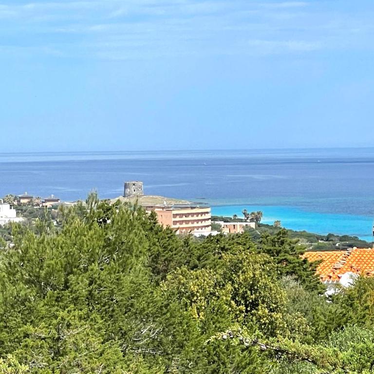 Casa vacanze Stintino vista mare - Casa Vacanze - 12