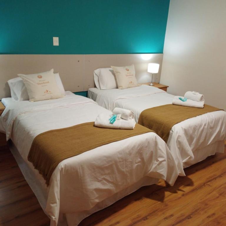 Hostería Mirador Uendeunk - Twin Room - 1